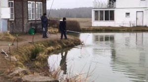 поимка форели на фидер