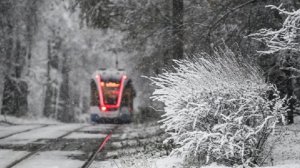 Вильфанд: снега в Москве не будет минимум до середины декабря