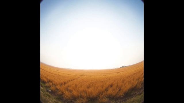 ЭФФЕКТИВНОСТЬ - ВЫШЕ НОРМЫ! смотреть онлайн