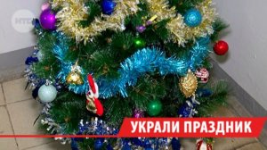 Вандалы крадут ёлки и новогоднее настроение у жителей Иркутска