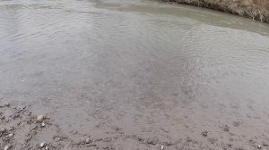 Река Малка декабрь 2025