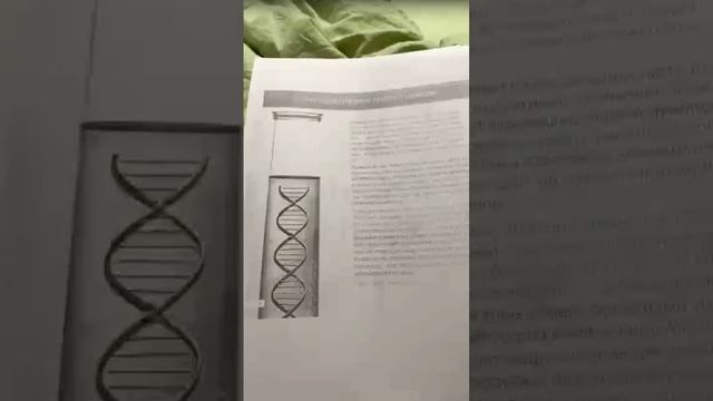 2-х месячному ребенку сделали Генетический тест