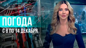 Погода на неделю 8 – 14 декабря 2025. Прогноз погоды. Беларусь | Метеогид
