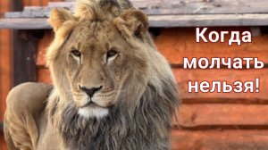 Когда нельзя молчать! Ответ мошеннице -  опекунше и гнилому Западу.