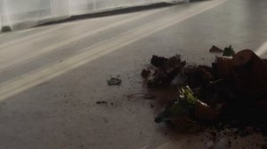 ГУДТАЙМС - ВИДЕНИЕ (Official Music Video)