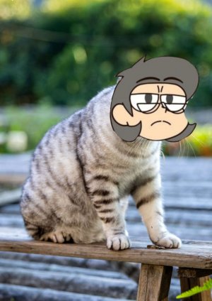 просто транслейшен