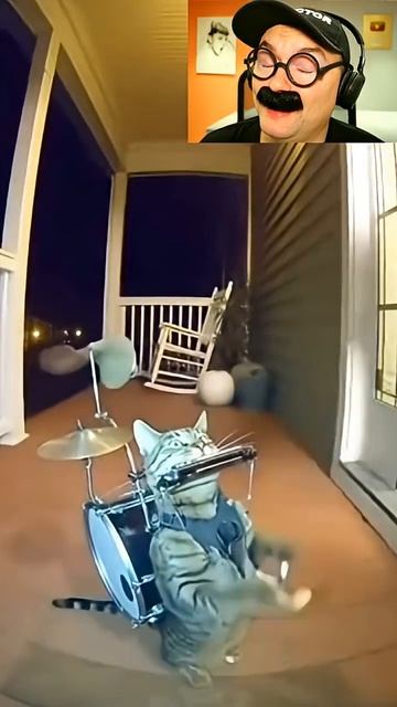 Самый талантливый кот в мире смотреть онлайн