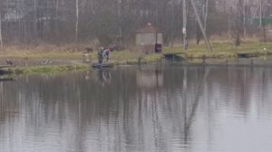 Светлые Горы Форель13 06.12.2025г.