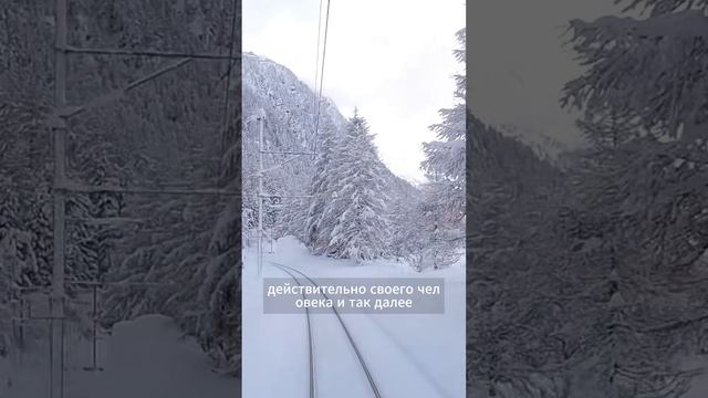 Сын боится девушек - комментарий психолога