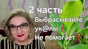 Выбрасывайте ук@лы❗️Не помогает❗️