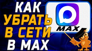Как убрать в сети в Max