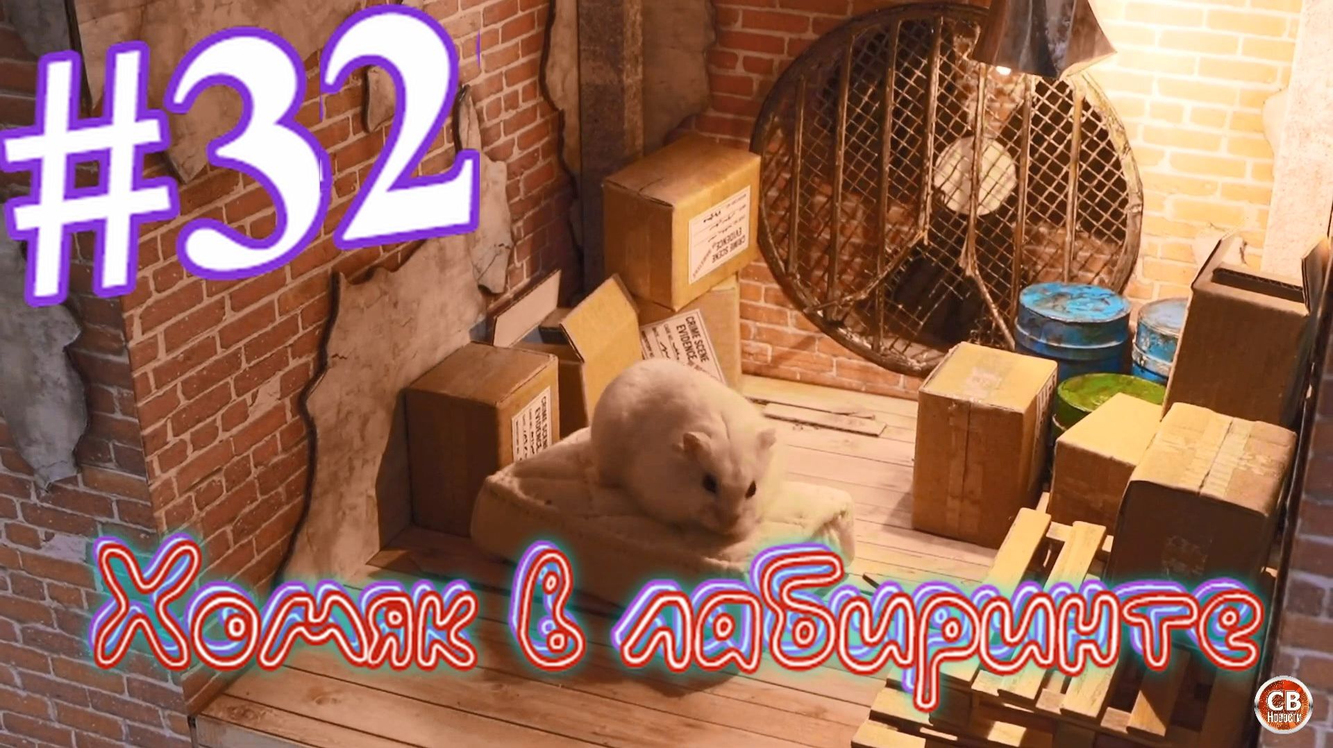 Хомяк в лабиринте (32 серия)