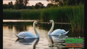 САМАЯ НЕЖНАЯ ПЕСНЯ О ЛЮБВИ.//LANA DEL REY\\ НОВИНКА -25