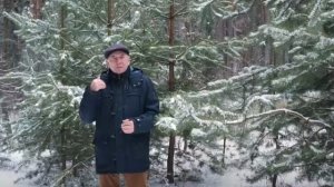 05 Бальзам для позвоночника. Станислав Лосев_ Как вернуть себе волю и выразить себя