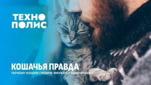 Сверхзвуковой дрон Турции | Топ-слова рунета 2025 | Кошки громче мяукают мужчинам. Технополис