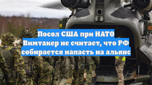 Посол США при НАТО Уитакер не считает, что РФ собирается напасть на альянс
