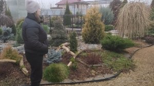 Прогулка по саду в декабре