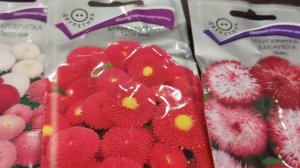 Начинаю шуршать пакетиками ❗Мой ассортимент цветов на 2026 год❗