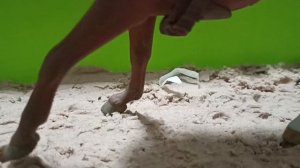 Полина#❤️🏇