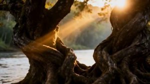 Ganja Roots Reggae Mix 2025 Музон в кайф