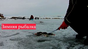 ЗИМНЯЯ РЫБАЛКА НА ОКУНЯ! ЛОВЛЯ ОКУНЯ НА МОРМЫШКУ.