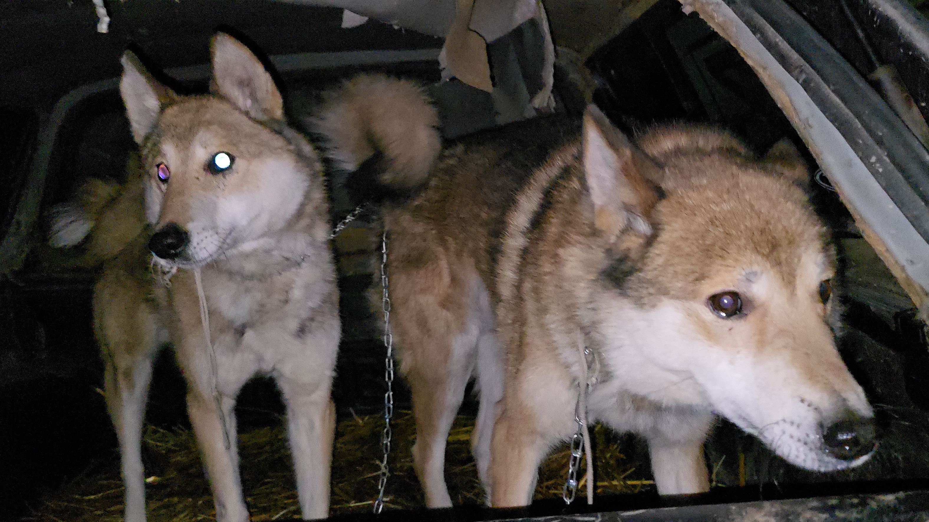 Лайки добро пожаловать!