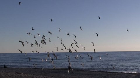 Набережная Дагомыса в Сочи. Декабрь.