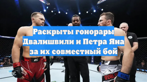 Раскрыты гонорары Двалишвили и Петра Яна за их совместный бой
