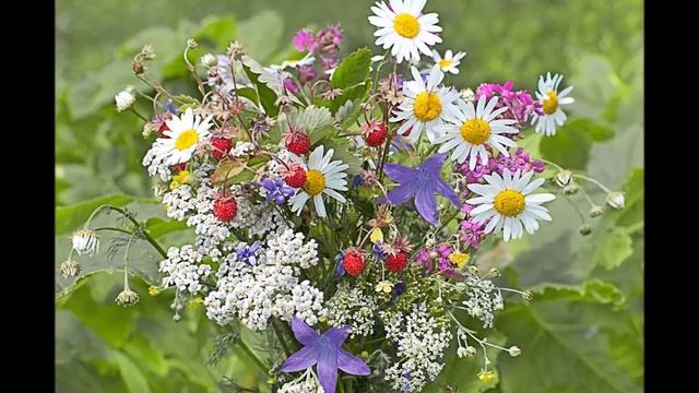 "Букет" - "Пьески без нот"