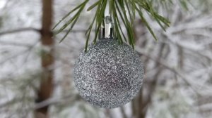 Зимний лес . Новогодняя природа .  Релакс.