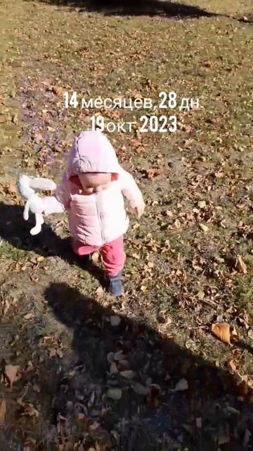14 мес.,28 дн.За собакой.(19 окт.2023).mp4