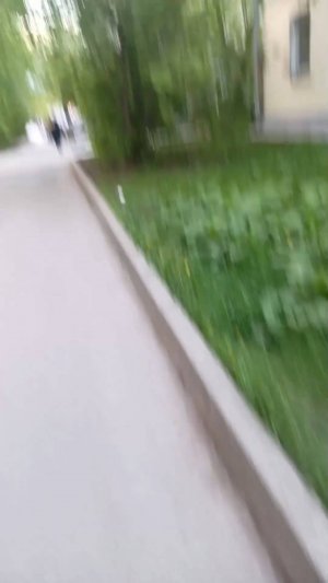 прогулка перед сном