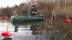 ЩУКА НА КРЮЧКЕ! РЫБАЛКА С СОБАКОЙ НА ЛОДКЕ.