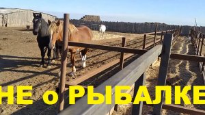 Не о Рыбалке!!