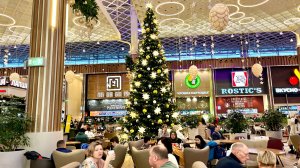 Утро с сюрпризом и в поисках телефона