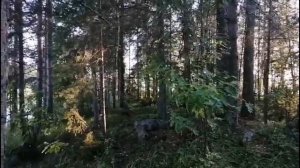 Летний поход на острова Вани и Егорушки. Сямозеро. Карелия ❤️.