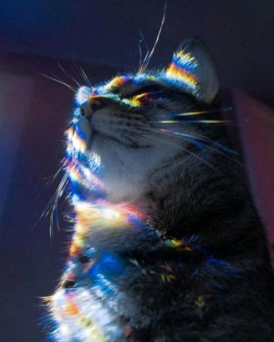 простите пожалуйста , что меня долго не было так ,что ИСТОРИЯ?