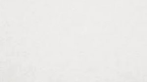 анимка Егора вместе с эльгато и мной