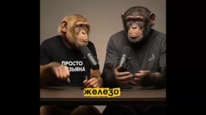 Подкаст обезьян важная тема
