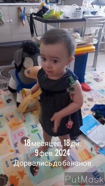 18 мес.,18 дн.Дорвались до бананов (9 фев.2024)_Exported.mp4