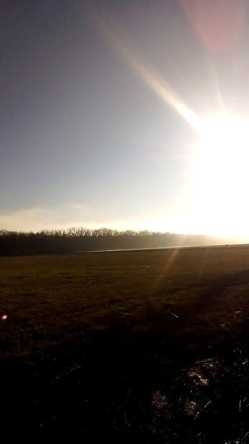 VID_2025-12-07-13-24-48-015 смотреть онлайн