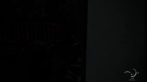 Прохождение: The Last of Us Part II. Remastered. Часть 9