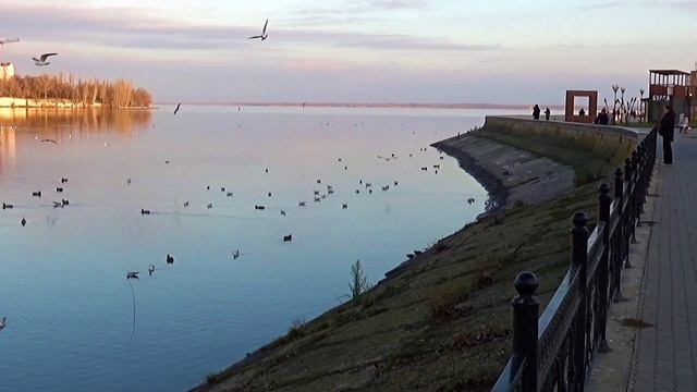 Камышин 7дек 2025 смотреть онлайн