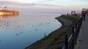 Камышин 7дек 2025