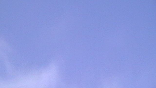 07.12.2025г.Витины летят в сильный ветер.