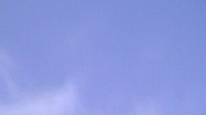 07.12.2025г.Витины летят в сильный ветер.