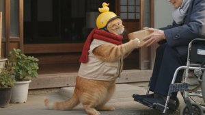 Мультики для детей, котики мультфильмы