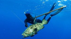 Как это просходит. Подводная охота 2.