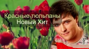 Красные Тюльпаны. Новый хит в стиле Юры Шатунова