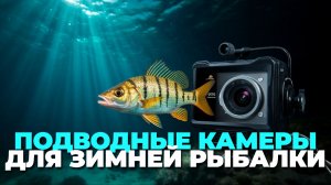 Обзор подводных камер